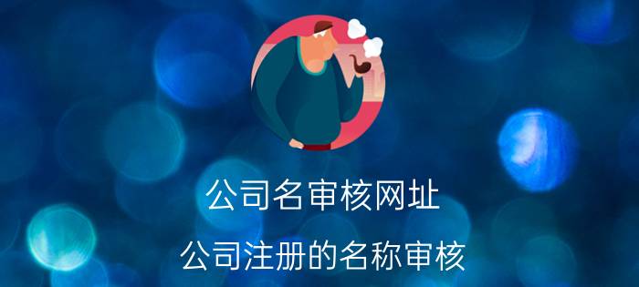 公司名审核网址 公司注册的名称审核？